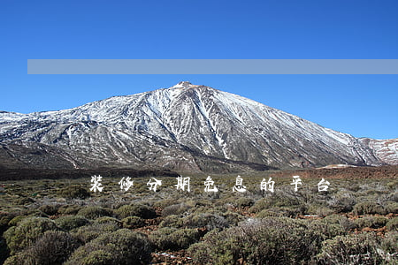装修分期免息的平台