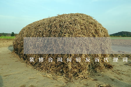 装修合同纠纷反诉代理词