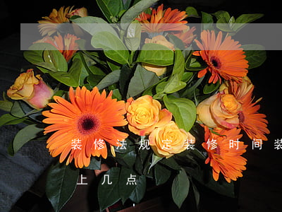 装修法规定装修时间(装修法规定装修时间早上几点)