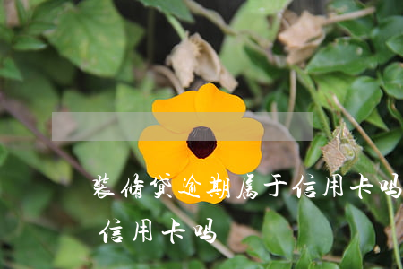 装修贷逾期属于信用卡吗-装修贷需要还清信用卡吗