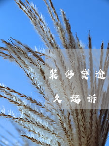 装修贷逾期被起诉了能协商吗(装修贷逾期多久起诉)