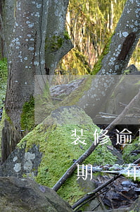 装修逾期一年可以起诉装修公司吗-装修逾期一年可以起诉装修公司吗知乎