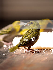 装修逾期但未约定违约金(一般装修逾期违约金是多少)