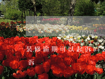 装修逾期可以起诉吗(装修合同逾期了怎样起诉)