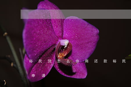 裕民贷怎么协商还款(裕民银行商裕贷是怎么申请)