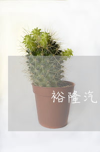 裕隆汽車金融貸款逾期(裕隆車貸靠譜嗎)
