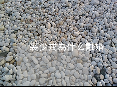 裘少戎為什么離婚