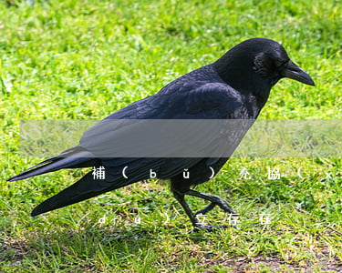 補(bǔ)充協(xié)議是否可以獨(dú)立存在