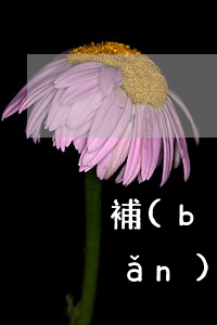 補(bǔ)充養(yǎng)老保險(xiǎn)是什么(補(bǔ)充養(yǎng)老保險(xiǎn)是什么意思)