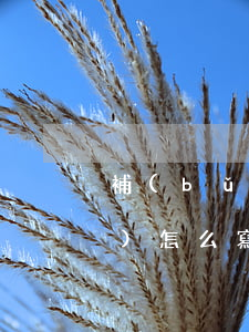 補(bǔ)助申請(qǐng)書(shū)怎么寫(xiě)