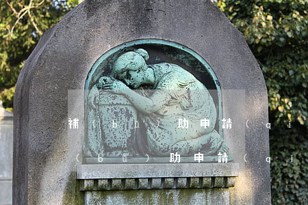 補(bǔ)助申請(qǐng)書怎么寫(補(bǔ)助申請(qǐng)書怎么寫高中)