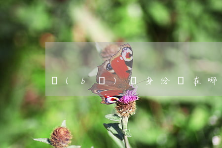 補(bǔ)辦身份證在哪里補(bǔ)辦