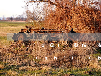 補(bǔ)辦身份證在哪里補(bǔ)辦(臨時(shí)補(bǔ)辦身份證在哪里補(bǔ)辦)