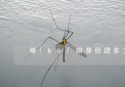 補(bǔ)辦身份證多少錢