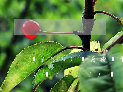補(bǔ)辦身份證需要多長(zhǎng)時(shí)間