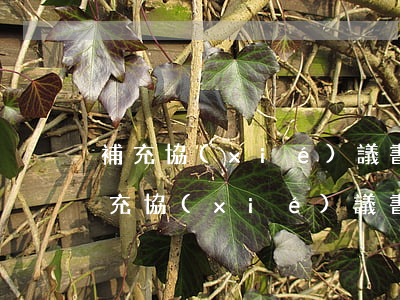 補充協(xié)議書范本(房屋買賣合同補充協(xié)議書范本)