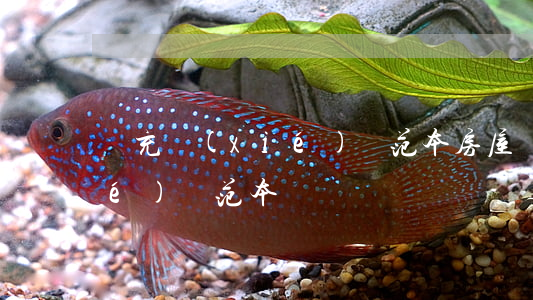 補充協(xié)議范本(房屋補充協(xié)議范本)