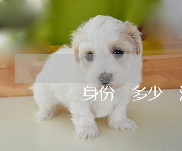 補辦身份證多少錢(派出所補辦身份證多少錢)