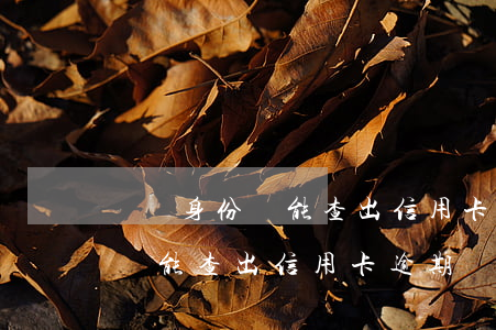 補辦身份證能查出信用卡逾期嗎-補辦身份證能查出信用卡逾期嗎怎么辦