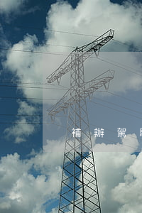 補辦駕駛證要多久