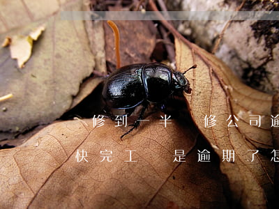 裝修到一半裝修公司逾期停工了怎么辦（裝修快完工還是逾期了怎么處理）