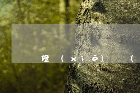 裝修協(xié)議書(shū)范本