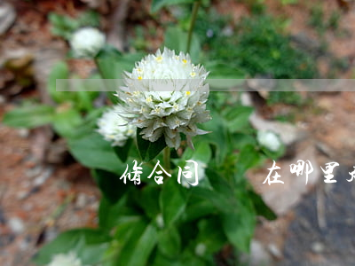 裝修合同糾紛在哪里起訴