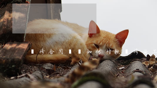 裝修合同糾紛如何付款(裝修施工合同糾紛)