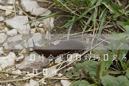 裝修合同糾紛如何確定(房屋裝修合同糾紛怎樣處理)