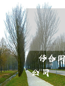 裝修合同糾紛如何維權(quán)(和裝修公司糾紛怎么處理)