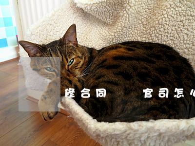 裝修合同糾紛官司怎么打