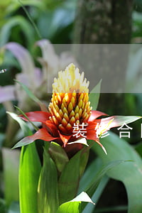 裝修合同糾紛有哪些證據(jù)