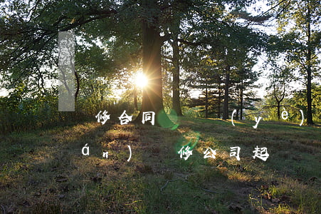 裝修合同糾紛業(yè)主如何維權(quán)(裝修公司起訴業(yè)主違約)