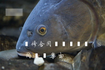 裝修合同糾紛訴訟書(shū)(裝飾裝修合同糾紛案由)