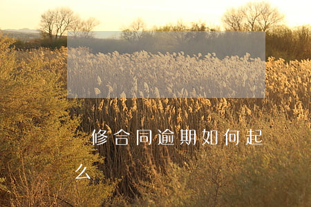 裝修合同逾期如何起訴 裝修公司合同逾期怎么賠償