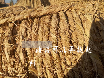 裝修后可以再提起訴訟嗎(裝修起訴需要多久判決)