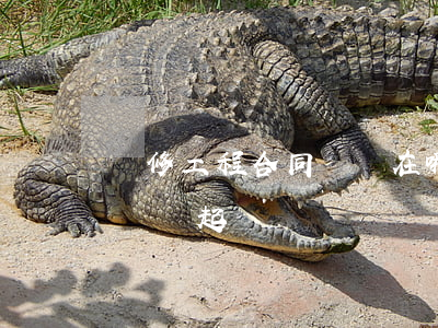 裝修工程合同糾紛在哪里起訴一審(裝修合同糾紛起訴狀)