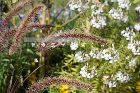 裝修房子欠網(wǎng)貸(裝修可以欠款嗎)