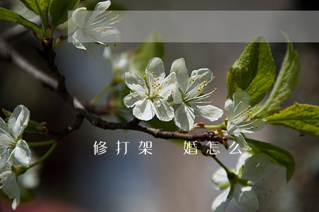 裝修打架離婚怎么辦