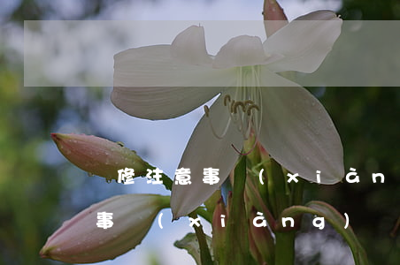 裝修注意事項(xiàng)(酒店裝修注意事項(xiàng))