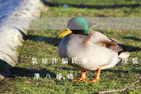 裝修詐騙民事糾紛處理(裝修詐騙罪的立案標準八種情況)