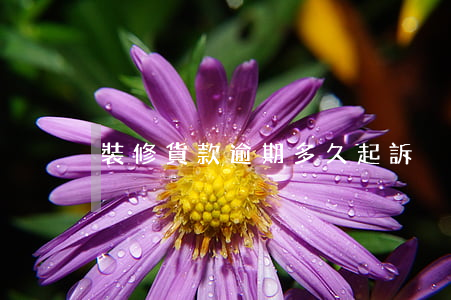 裝修貨款逾期多久起訴