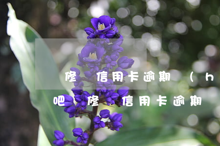 裝修貸信用卡逾期會(huì)上征信嗎貼吧（裝修貸信用卡逾期會(huì)上征信嗎）