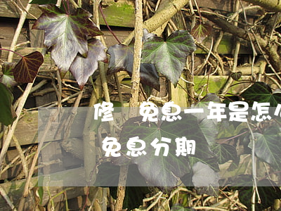 裝修貸免息一年是怎么計(jì)算的（裝修貸免息分期）