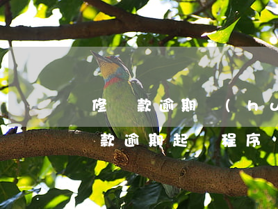 裝修貸款逾期會(huì)起訴嗎(建行裝修貸款逾期起訴程序)