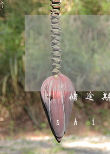 裝修逾期如何處理尾款可以不給嗎(裝修時(shí)間違約后不給尾款)