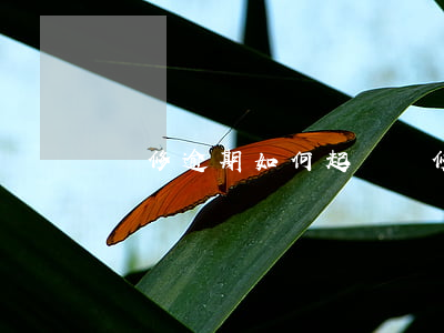 裝修逾期如何起訴 裝修合同逾期了怎樣起訴