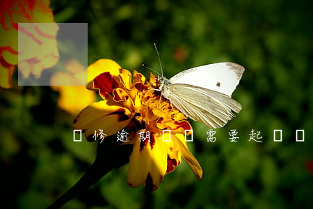 裝修逾期賠償需要起訴嗎 裝修逾期怎么賠償