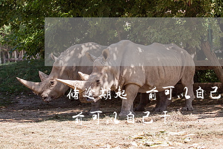 裝修逾期起訴前可以自己干嗎-裝修逾期起訴前可以自己干嗎