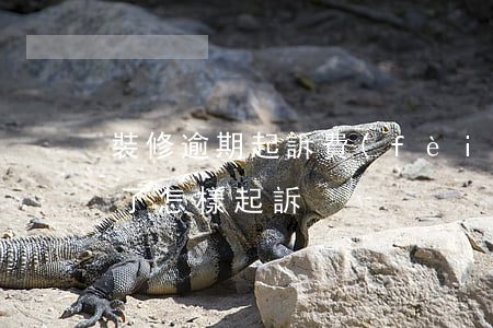 裝修逾期起訴費(fèi)用(裝修合同逾期了怎樣起訴)
